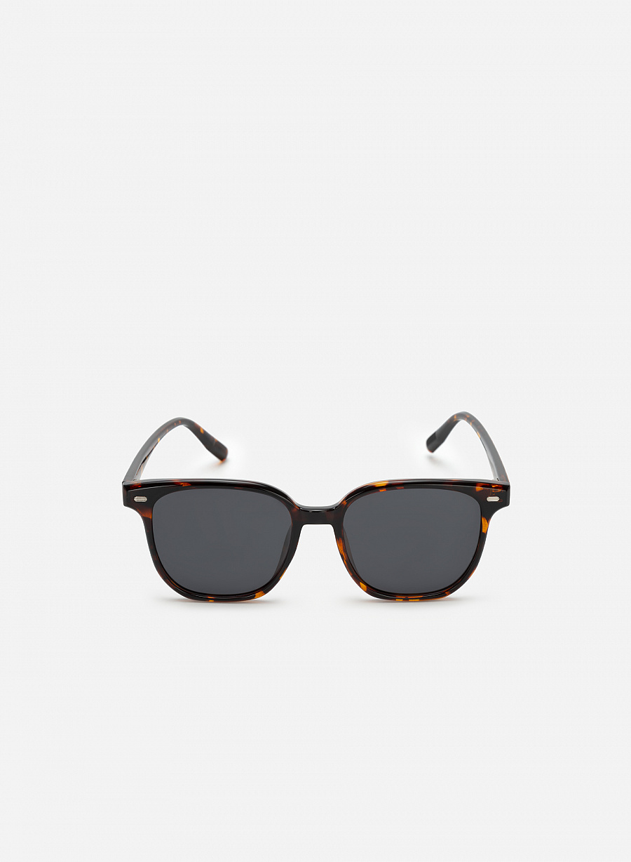 Kính mát gọng nhựa wayfarer - WAY 0034 - Màu đồi mồi - vascara.com