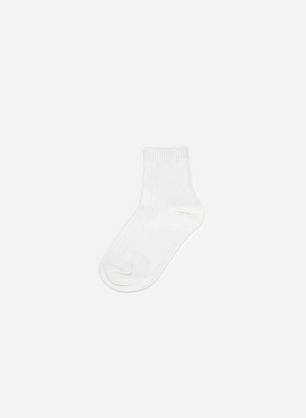 Quà tặng Vớ Cotton - VASCARA