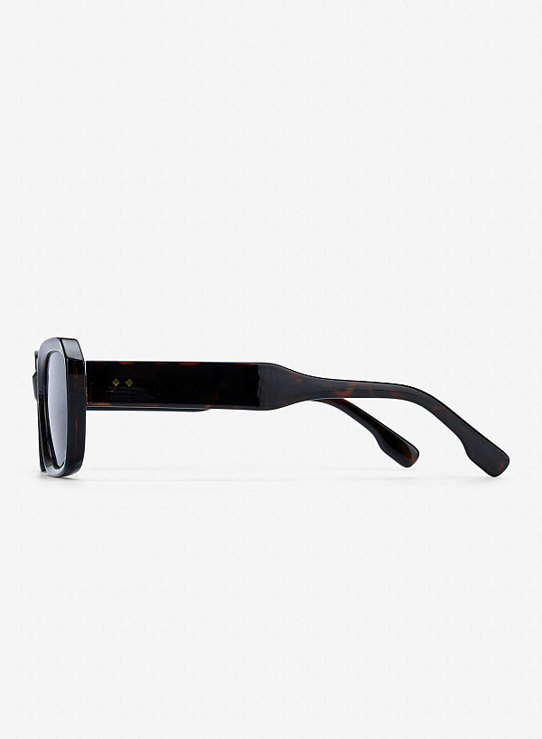 Amber Sunglasses - SPC 0015 - Tortoise - VASCARA